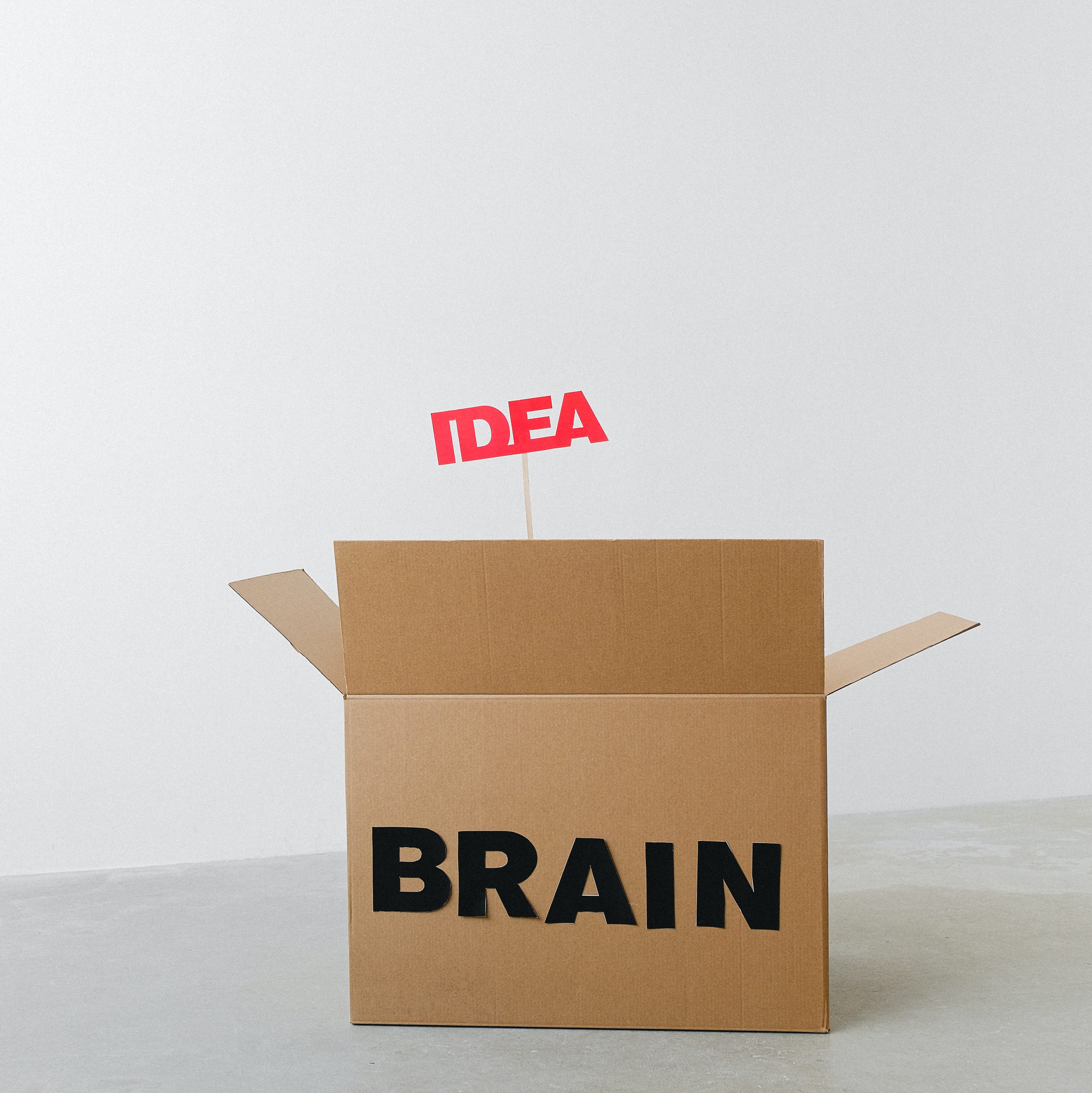 cardboard box with black block letters that spells brain with small red letters that spell idea on a stick popping out of the box